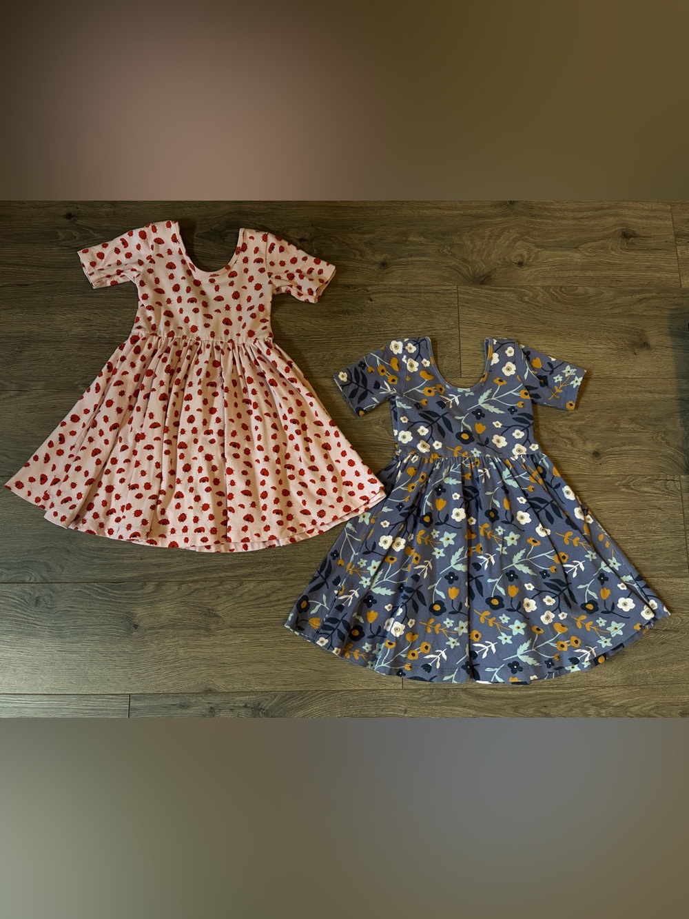 Alice + Ames Ballet Dresses 3T Buggie and Underwater Floral